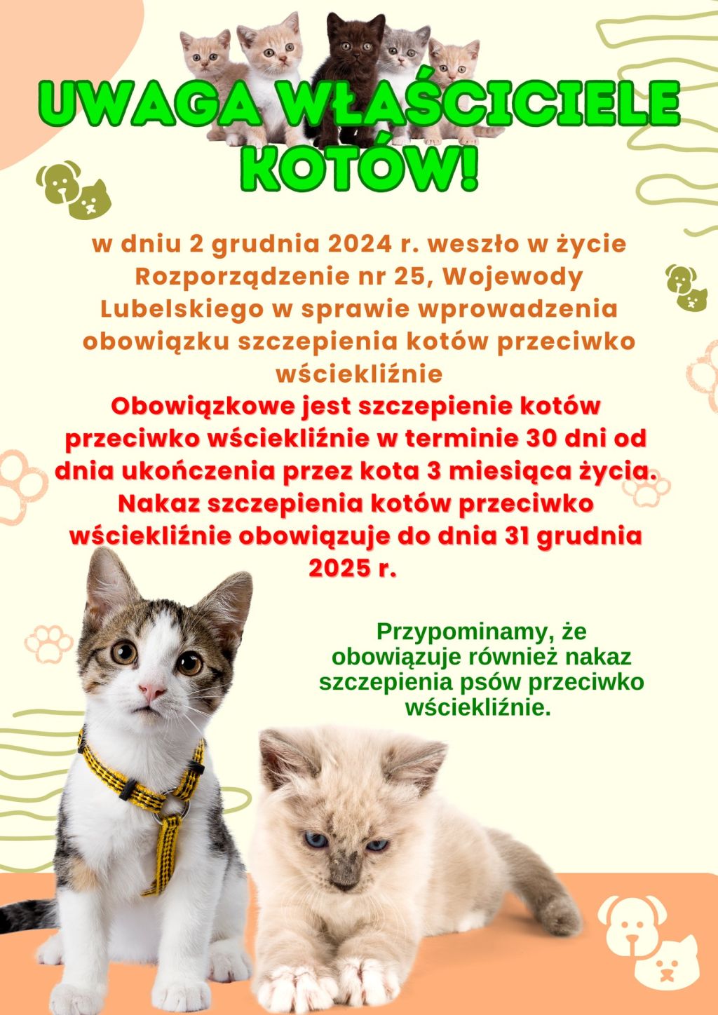 Uwaga właściciele kotów !!!